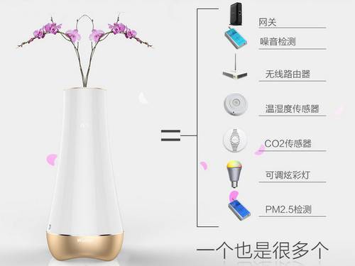  花瓶.jp​​g