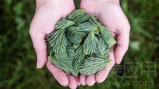 31359976ba38a645cf7b554cde980797_640x360.jpg