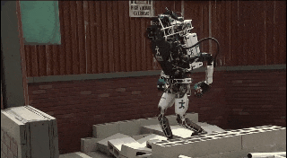 41.gif