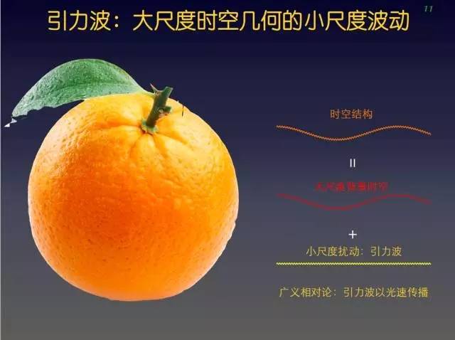 6.webp.jpg