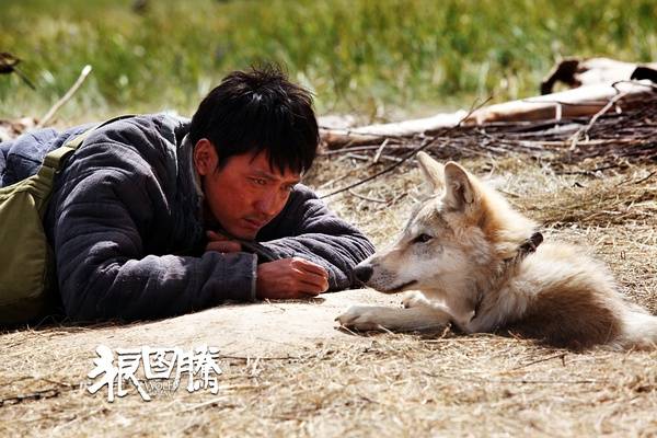 2016春节档欠中国电影一个“狼图腾”：只有票房没有格局