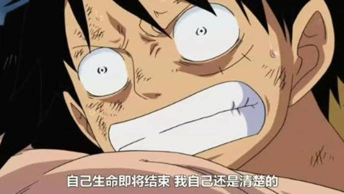 会玩还是会玩脱？被某酱刷屏后，这些数据需要反思一个
