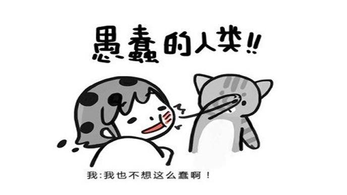 用户都被感动哭了，为何还不来买我的产品？